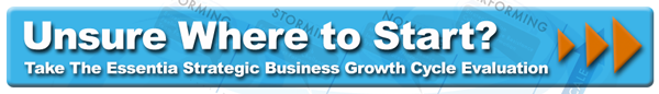 Take the essentia strategic business cycle growth evaluation today!